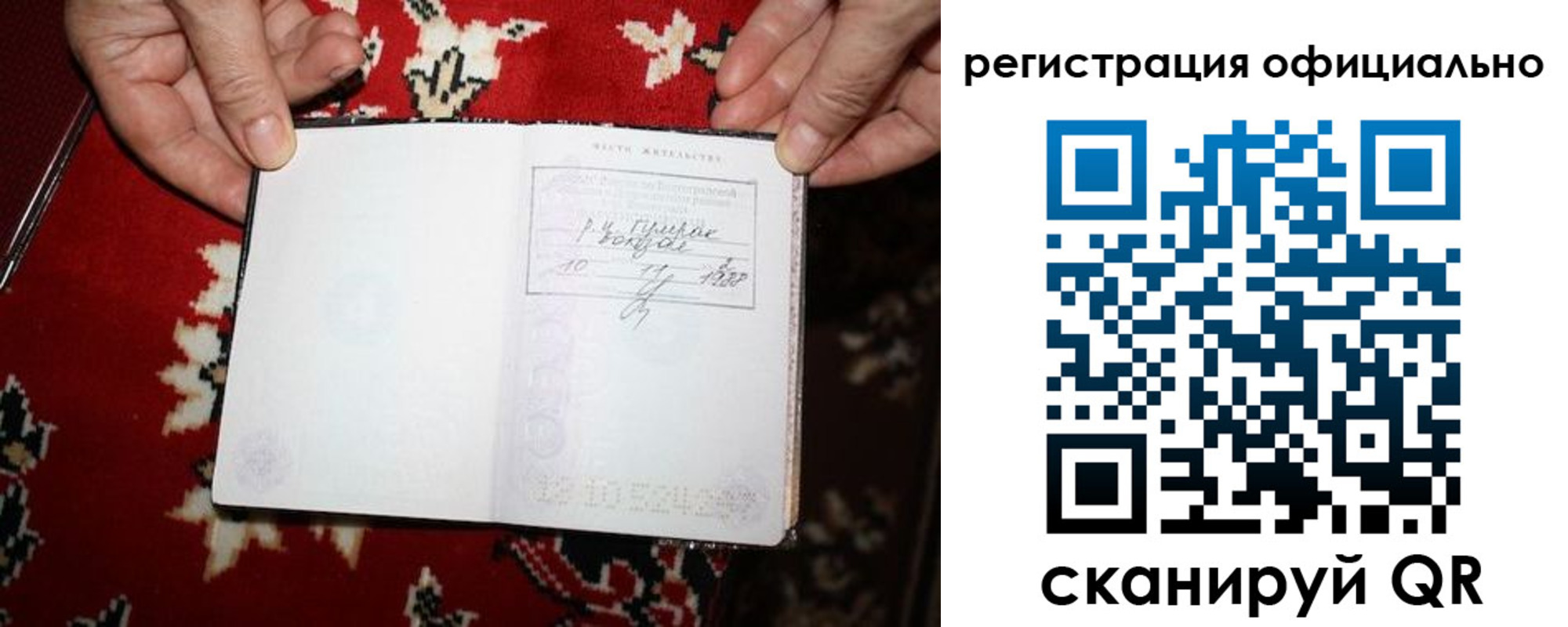 временная регистрация гарантия в Полярном